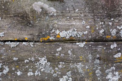 Prevent Mold and Mildew Growth!
